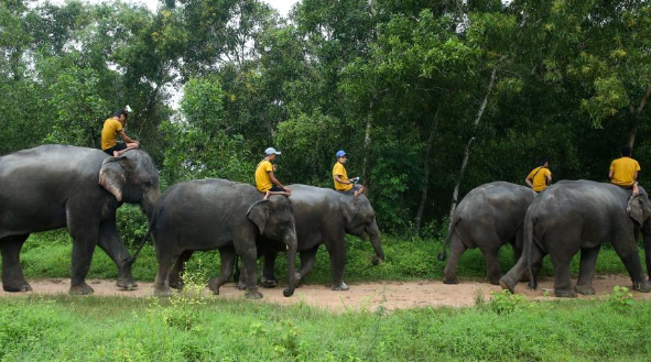 �q�l�k�T�٪��j�H��a