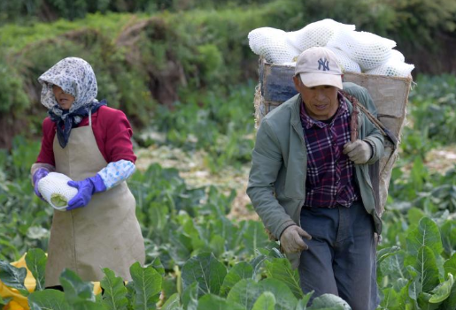 �̵·����G�m������L�� ��_�Ͳ��ͬ�