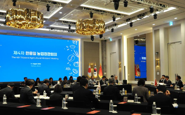 �������A�~�����|ĳ�b����l�}