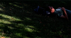 �^��A���o�����Ű��dĵ��