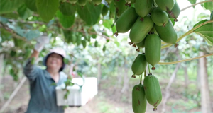 �S��A�~�U�O�m������