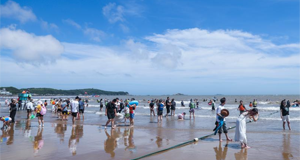 �F�����ت�Ӵ�������ȼ顨