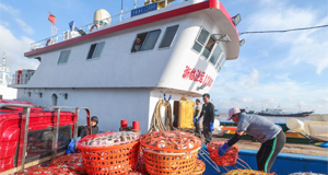 浙江舟山：开渔归来蟹满仓