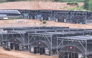 香菇喜获丰收 乡村振兴"菇"劲十足