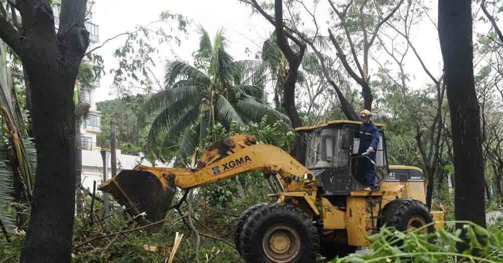 台风“剑鱼”已过境 三亚灾后恢复生产